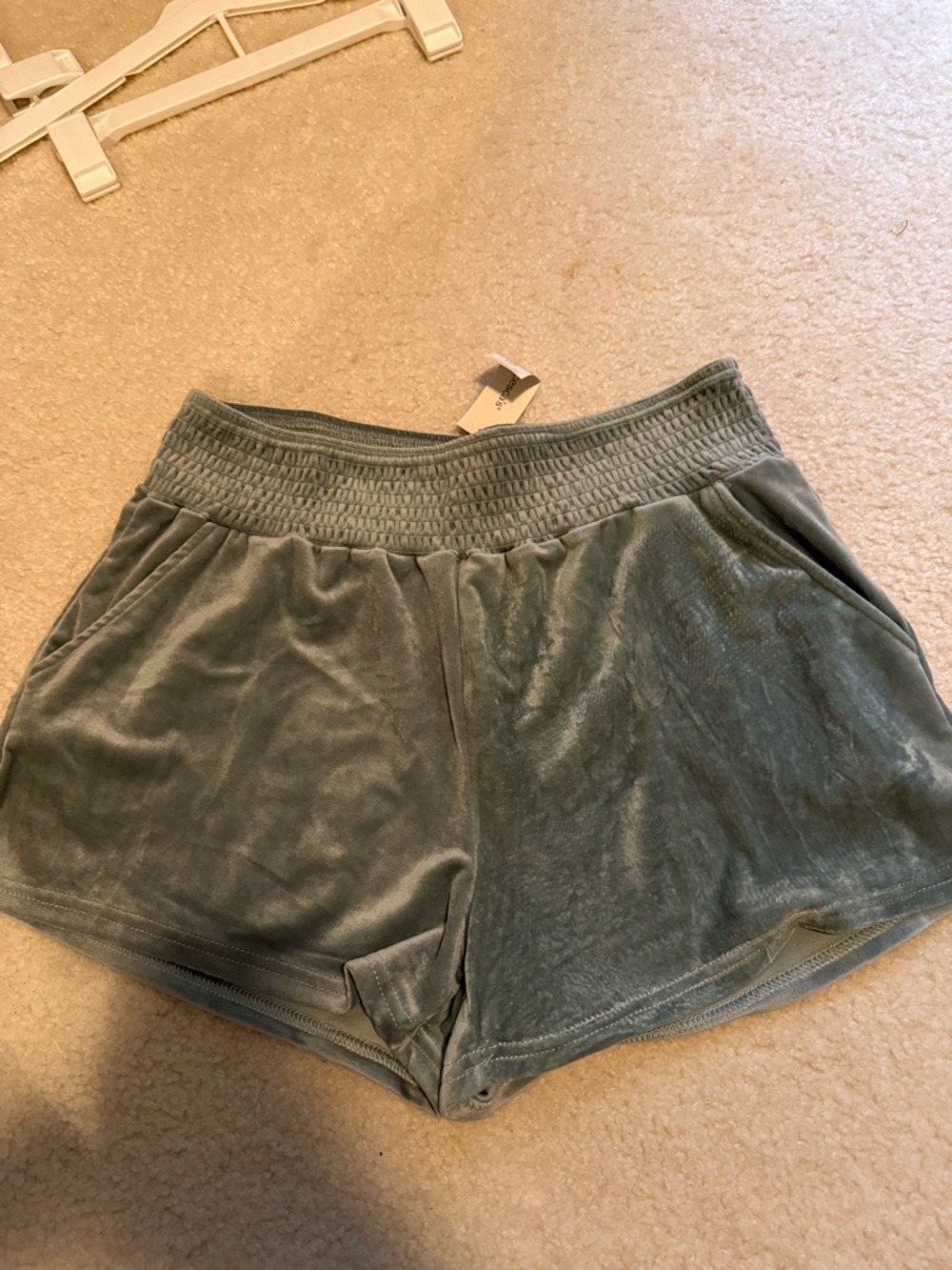 Francesca's Collections Plush Lounge Shorts in Sage